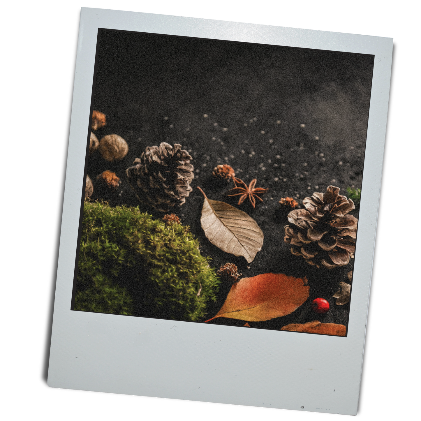 FORAGE Candle